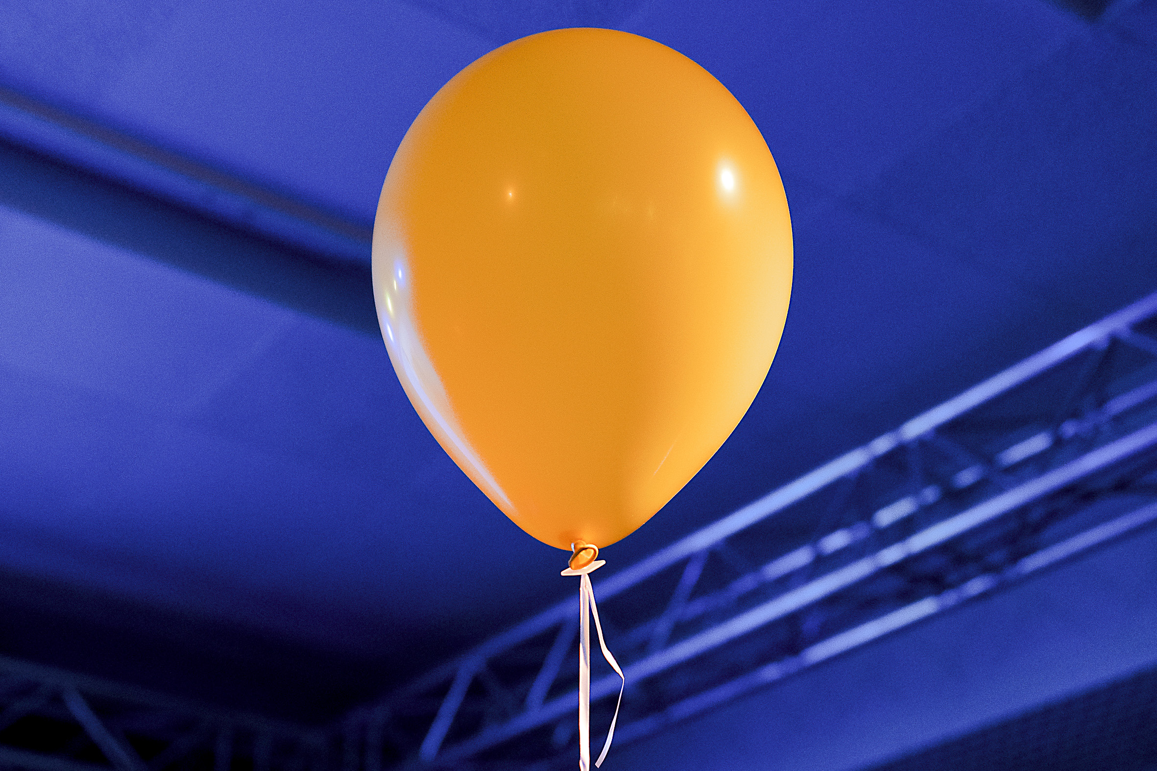 Chemnitz, Landeszentrale für politische Bildung, Lesung, Sachsen, Stefanie Wally